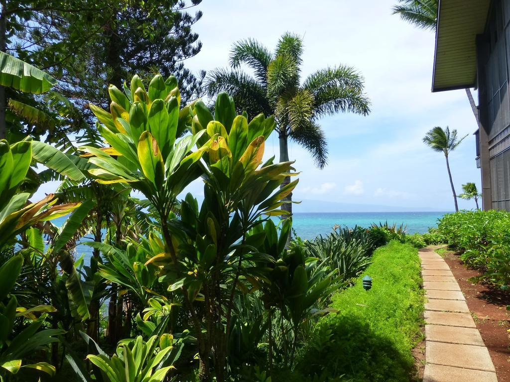 Mahina Surf 220 By Redawning Aparthotel Lahaina Buitenkant foto